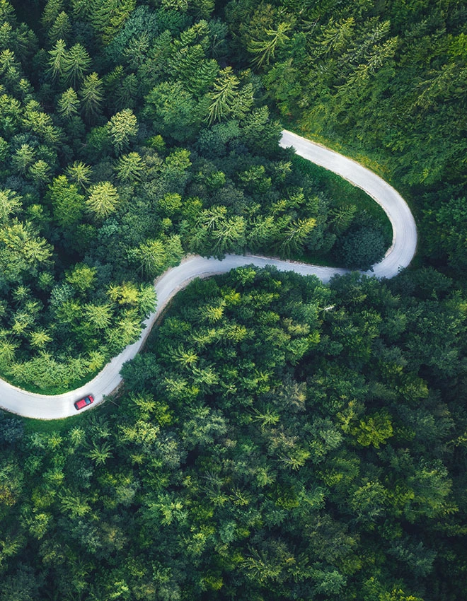 aerial view of a road winding through a pine forest