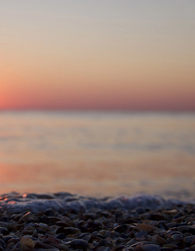 beach at dawn